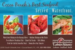 Graphic-Design-Toms-River-NJ-K-Sky-Design-LS-Ad-1
