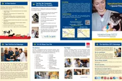 Graphic-Design-Toms-River-NJ-K-Sky-Design-NSV-Brochure-1